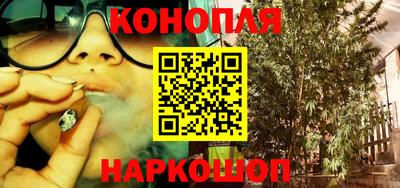 spice Бузулук