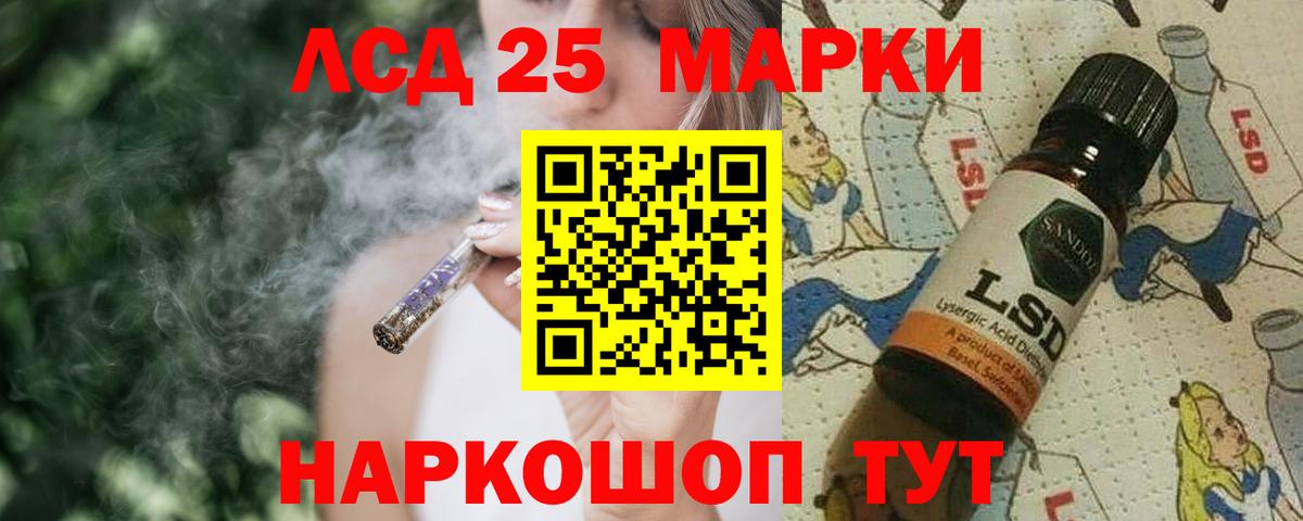 Галлюциногенные грибы Муравленко